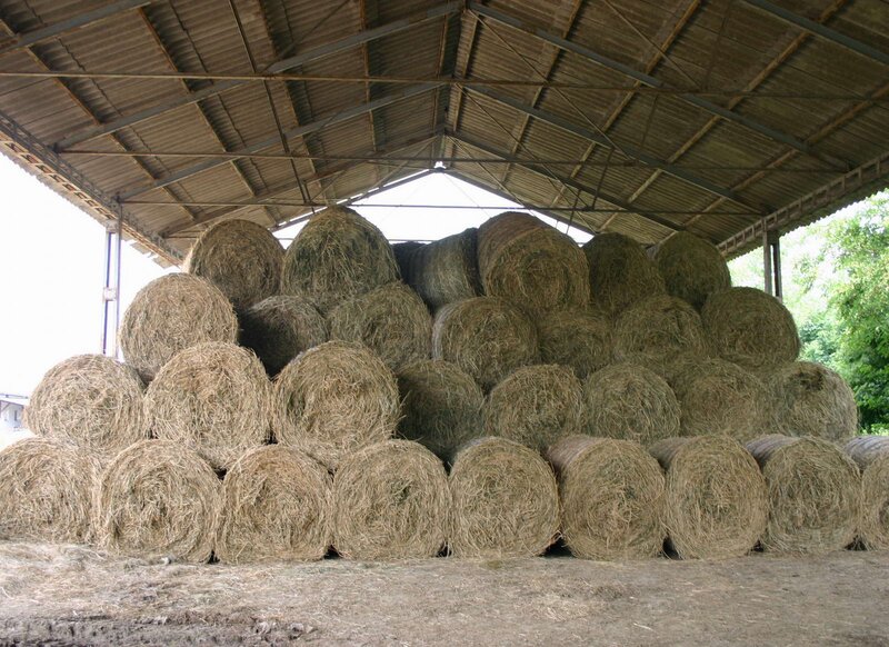 De vanzare baloti mari din fana de gradina 30 buc–400 kg– Baile Homorod