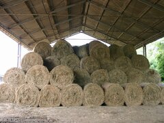 De vanzare baloti mari din fana de gradina 30 buc–400 kg– Baile Homorod